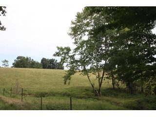 Property photo 56 - LAND AUCTION - 1,193+/- ACRES IN 14 TRACTS IN PIKE & GIBSON COUNTY, INDIANA
